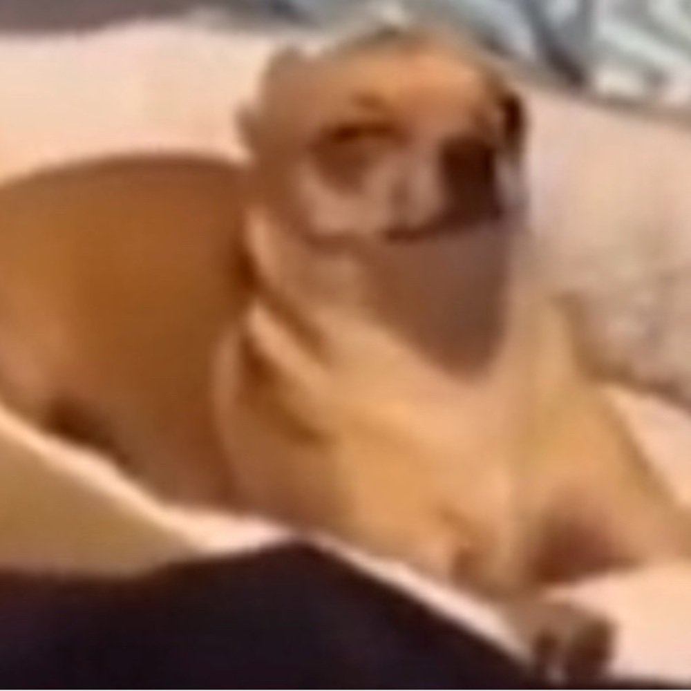 I just wanna get a deal